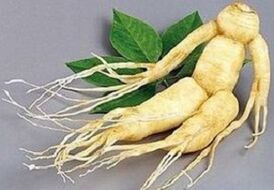 Infusioa egiteko ginseng erroa