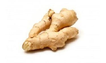Ginger erroa zakila handitzeko